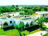 Appartamento, CAROVIGNO, 750.000 €, 350,00 mq