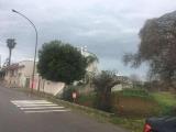 Particella, COLLEPASSO, 32.000 €, 788,00 mq