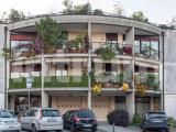 Superfici commerciali, CASSANO MAGNAGO, 110.000 €, 247,00 mq