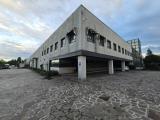 Superfici commerciali, LONATE POZZOLO, <i>A richiesta</i>, 3550,00 mq
