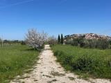 Particella, MONTE COMPATRI, 90.000 €, 7000,00 mq