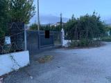 Affitto, Garage, LAMEZIA TERME, 700 €, 80,00 mq