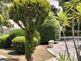 Appartamento, TARANTO, 270.000 €, 159,00 mq