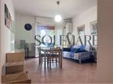 Affitto, Appartamento, CESENATICO, <i>A richiesta</i>, 55,00 mq