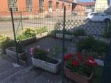 Appartamento, BESNATE, 80.000 €, 50,00 mq