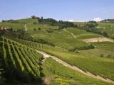 Particella, CASTEGGIO, 390.000 €