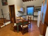 Affitto, Appartamento, SAN GIMIGNANO, 500 €, 50,00 mq
