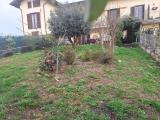 Appartamento, ALBIZZATE, 102.000 €, 63,00 mq
