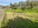Particella, MOTTA CAMASTRA, 55.000 €, 950,00 mq