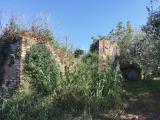 Particella, SANTARCANGELO DI ROMAGNA, 250.000 €, 33606,00 mq