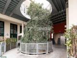 Appartamento, MILANO, 350.000 €, 130,00 mq