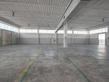 Affitto, Superfici commerciali, LONIGO, 3.000 €, 989,00 mq