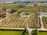 Casa, CORATO, 325.000 €, 270,00 mq