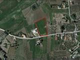 Particella, BUSETO PALIZZOLO, 15.000 €, 3000,00 mq