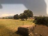 Particella, PALIANO, 28.000 €, 10390,00 mq