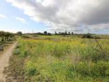 Particella, LENTINI, 37.000 €, 33730,00 mq