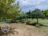Particella, CORTONA, 350.000 €, 258,00 mq