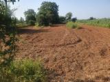 Particella, PIOSSASCO, 12.000 €, 1235,00 mq