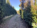 Particella, PISTOIA, 72.000 €, 4000,00 mq
