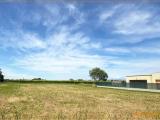 Particella, MANSUÈ, 65.000 €, 1717,00 mq