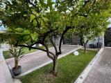 Appartamento, BARI, 325.000 €, 108,00 mq