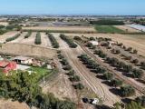 Particella, MONTALTO DI CASTRO, 180.000 €