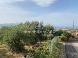 Particella, DIPIGNANO, 59.000 €, 15100,00 mq