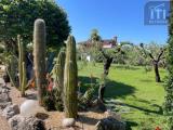 Casa, ANZIO, 520.000 €, 180,00 mq