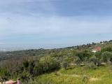 Casa, MONTECORVINO PUGLIANO, 263.000 €, 145,00 mq