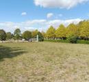 Particella, BELLARIA-IGEA MARINA, 240.000 €, 8300,00 mq