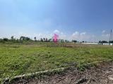 Particella, PORTOGRUARO, 580.000 €, 10000,00 mq