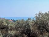 Particella, MONTESILVANO, 88.000 €, 1000,00 mq