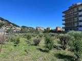 Particella, CAMPOROSSO, 147.000 €, 2140,00 mq
