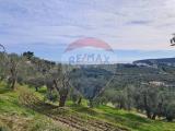 Particella, VIESTE, 22.000 €, 8000,00 mq