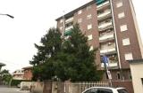 Appartamento, LIMBIATE, 72.000 €, 70,00 mq
