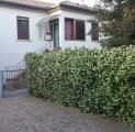 Casa, TREVISO, 325.000 €, 200,00 mq