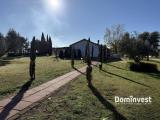 Casa, CAPALBIO, 390.000 €, 90,00 mq