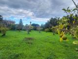Particella, SIRACUSA, 69.000 €, 1142,00 mq