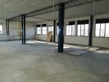 Affitto, Superfici commerciali, CAMPI BISENZIO, 1.600 €, 335,00 mq