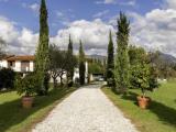Casa, PIETRASANTA, 1.200.000 €, 342,00 mq
