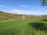 Particella, MARINO, 217.000 €, 3996,00 mq
