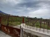 Particella, SOMMA VESUVIANA, 120.000 €, 8300,00 mq