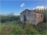 Particella, CASTAGNETO CARDUCCI, 109.000 €, 9550,00 mq