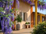 Casa, PAVIA, <i>A richiesta</i>, 40,00 mq