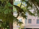 Appartamento, PAVIA, 210.000 €, 75,00 mq