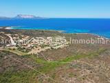 Particella, SAN TEODORO, 70.000 €, 29300,00 mq