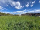 Particella, GORLAGO, 130.000 €, 1580,00 mq