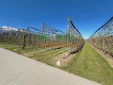 Particella, CALDONAZZO, 110.000 €, 3615,00 mq