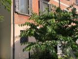 Casa, BOLOGNA, 1.100.000 €, 343,00 mq