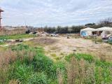 Particella, GESSOPALENA, 80.000 €, 1026,00 mq